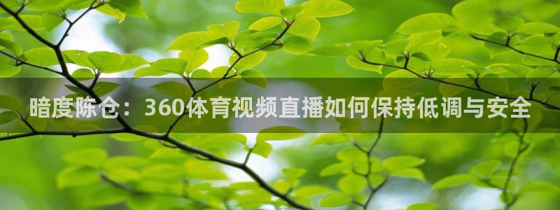 暗度陈仓：360体育视频直播如何保持低调与安全