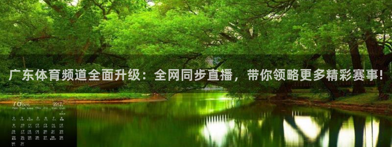 广东体育频道全面升级：全网同步直播，带你领略更多精彩赛事!