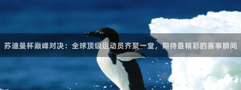 苏迪曼杯巅峰对决：全球顶级运动员齐聚一堂，期待最精彩的赛事瞬间