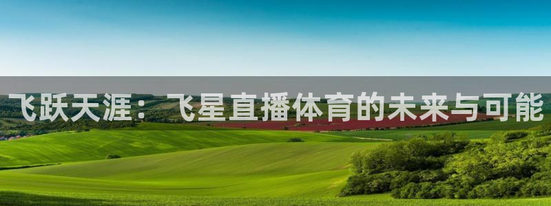 飞跃天涯：飞星直播体育的未来与可能