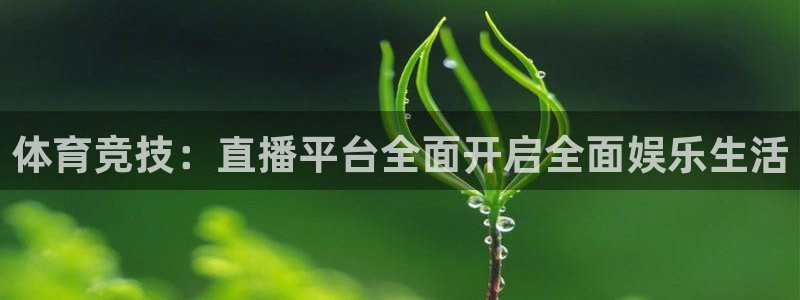 体育竞技：直播平台全面开启全面娱乐生活