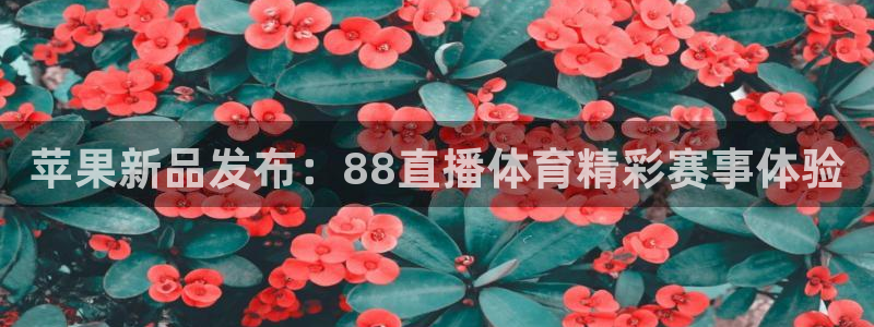 苹果新品发布：88直播体育精彩赛事体验