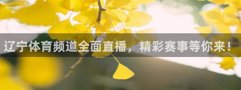 辽宁体育频道全面直播，精彩赛事等你来！