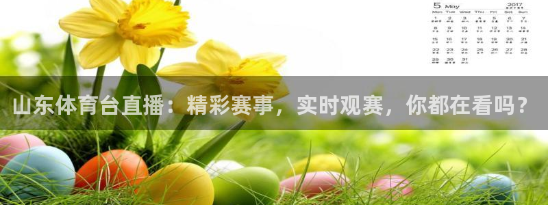 山东体育台直播：精彩赛事，实时观赛，你都在看吗？