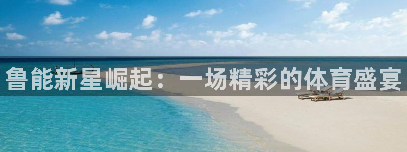 鲁能新星崛起：一场精彩的体育盛宴