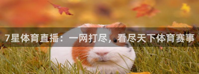 7星体育直播：一网打尽，看尽天下体育赛事