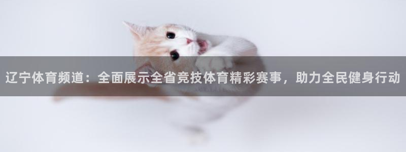 辽宁体育频道：全面展示全省竞技体育精彩赛事，助力全民健身行动