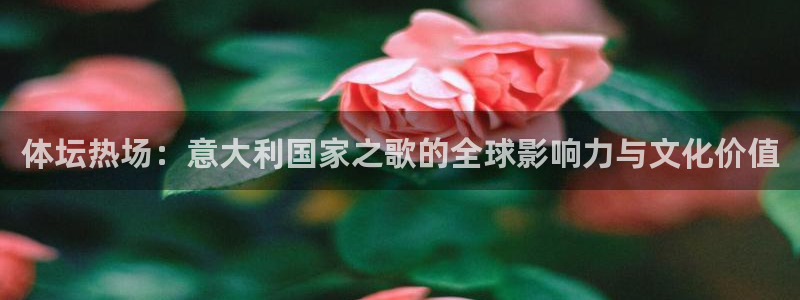 体坛热场：意大利国家之歌的全球影响力与文化价值