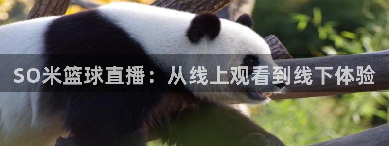 SO米篮球直播：从线上观看到线下体验
