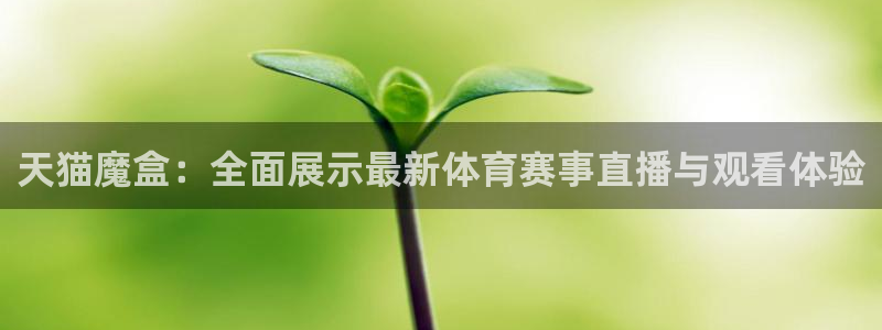 天猫魔盒：全面展示最新体育赛事直播与观看体验