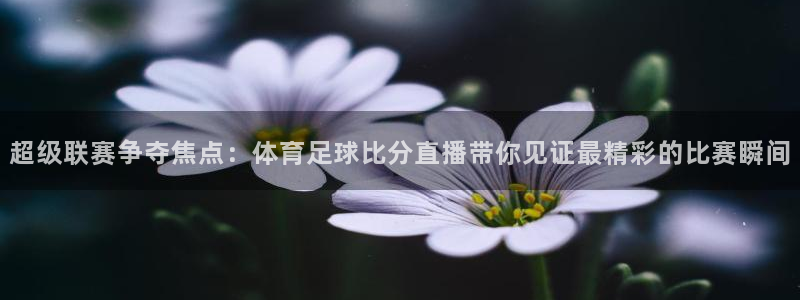 超级联赛争夺焦点：体育足球比分直播带你见证最精彩的比赛瞬间