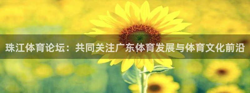 珠江体育论坛：共同关注广东体育发展与体育文化前沿