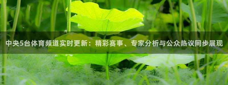 中央5台体育频道实时更新：精彩赛事、专家分析与公众热议同步展现