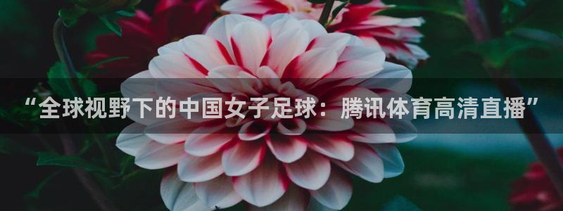 “全球视野下的中国女子足球：腾讯体育高清直播”