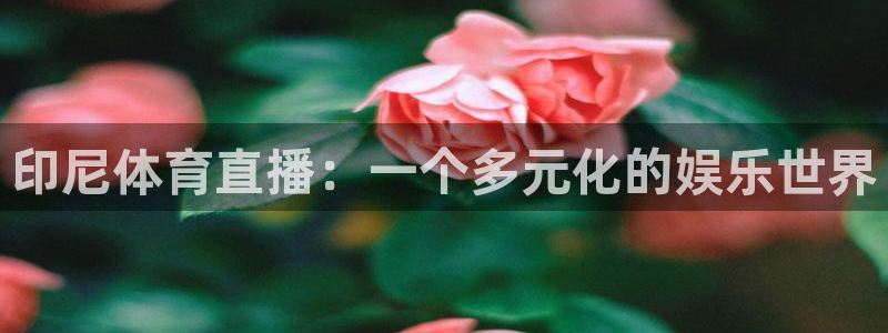 印尼体育直播：一个多元化的娱乐世界
