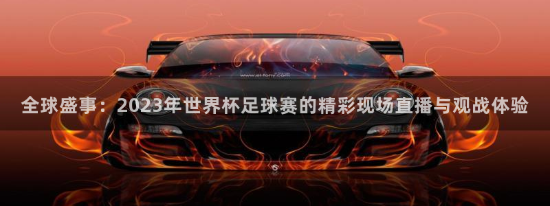 全球盛事：2023年世界杯足球赛的精彩现场直播与观战体验