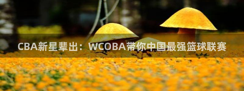 CBA新星辈出：WCOBA带你中国最强篮球联赛