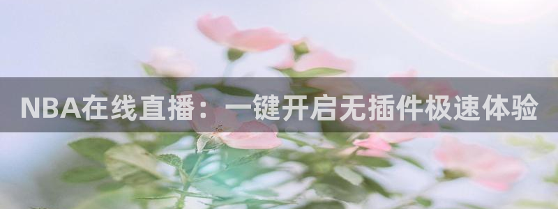 NBA在线直播：一键开启无插件极速体验