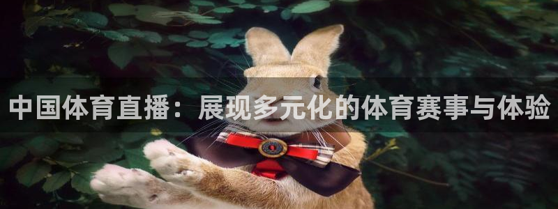 中国体育直播：展现多元化的体育赛事与体验
