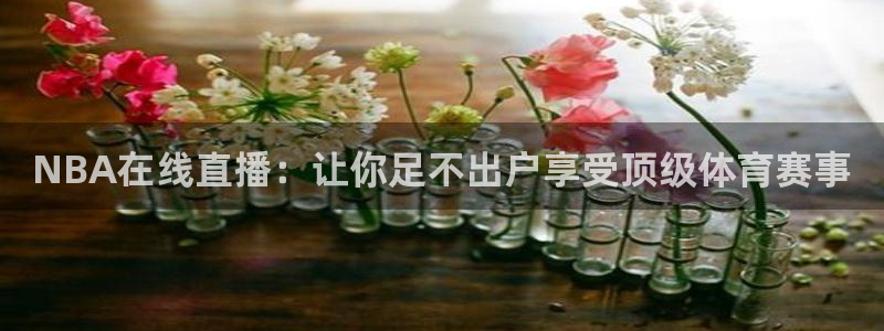 NBA在线直播：让你足不出户享受顶级体育赛事