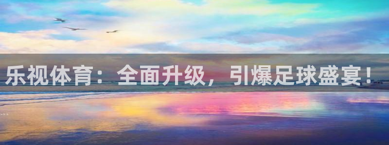 乐视体育：全面升级，引爆足球盛宴！