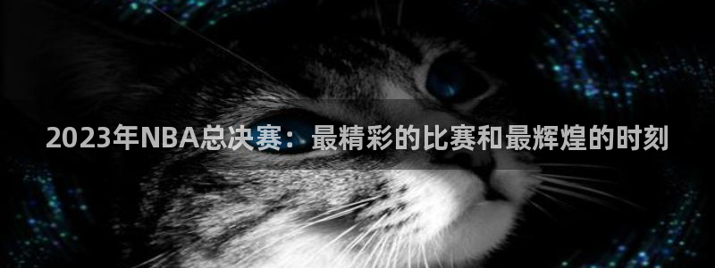 2023年NBA总决赛：最精彩的比赛和最辉煌的时刻