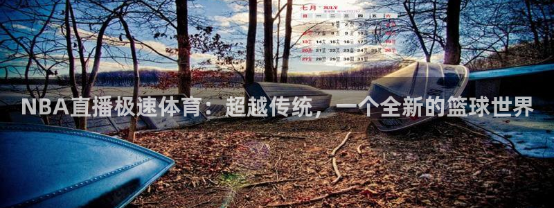 NBA直播极速体育：超越传统，一个全新的篮球世界