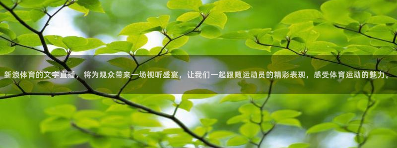 新浪体育的文字直播，将为观众带来一场视听盛宴，让我们一起跟随运动员的精彩表现，感受体育运动的魅力。