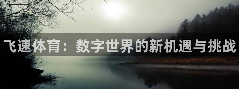 飞速体育：数字世界的新机遇与挑战