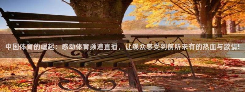 中国体育的崛起：感动体育频道直播，让观众感受到前所未有的热血与激情!