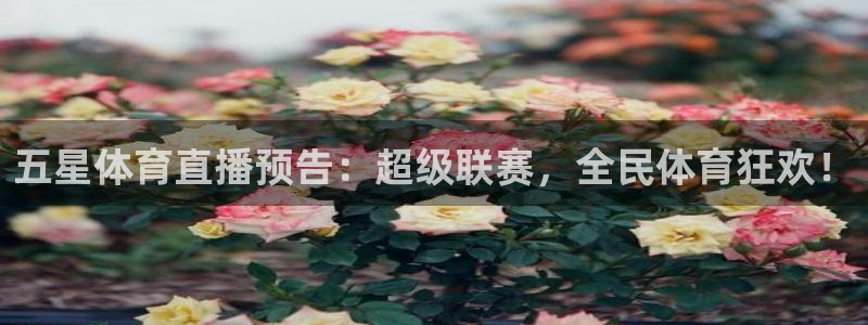 五星体育直播预告：超级联赛，全民体育狂欢！