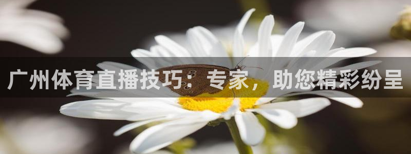 广州体育直播技巧：专家，助您精彩纷呈
