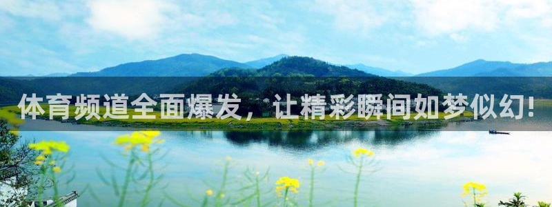 体育频道全面爆发，让精彩瞬间如梦似幻!