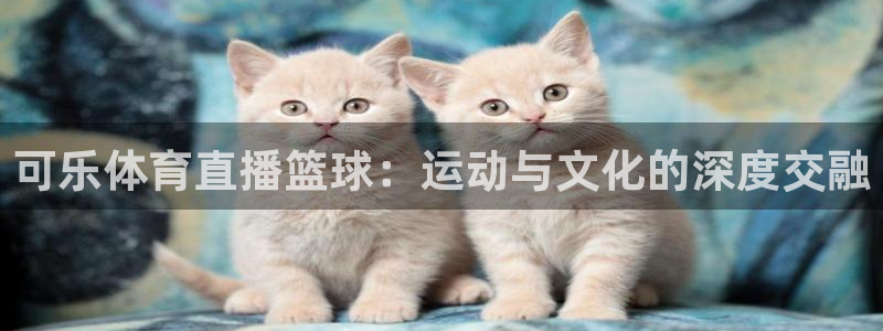 可乐体育直播篮球：运动与文化的深度交融