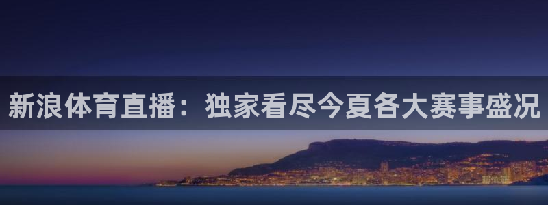 新浪体育直播：独家看尽今夏各大赛事盛况