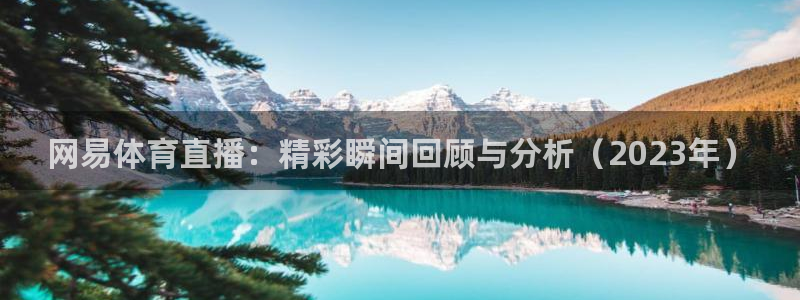 网易体育直播：精彩瞬间回顾与分析（2023年）