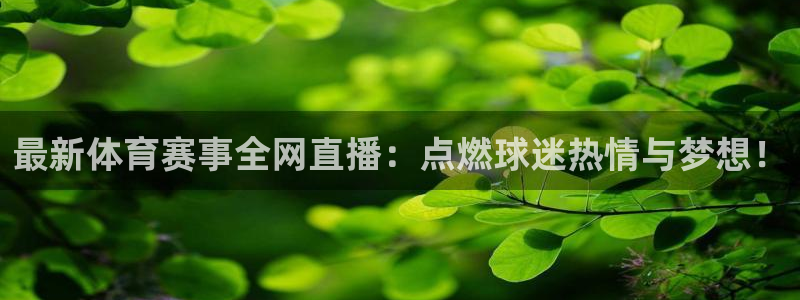 最新体育赛事全网直播：点燃球迷热情与梦想！